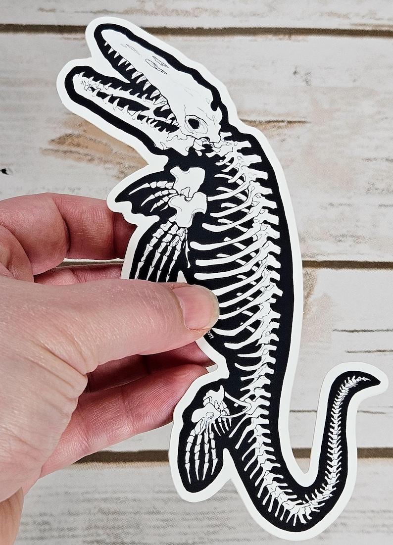 Mosasaur Skeleton Weather Proof Decal image 3