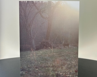 My Dear Friend - Greeting Card Set of 5 - Deer Card - Blank Inside