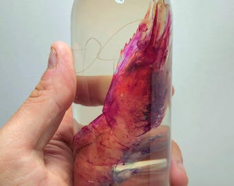 Könnte beinhalten: Eine transparente Glasflasche mit helllila Verschluss, die eine konservierte rote und violette Garnele enthält. Die Garnele ist in einer klaren Flüssigkeit suspendiert, die ihre komplizierten Details zeigt. Die Flasche wird von einer Hand gehalten.