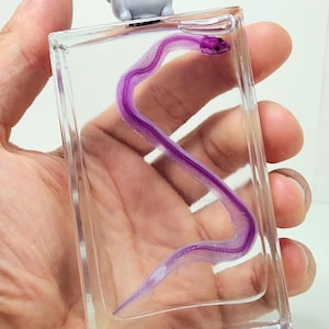 May include: A clear glass bottle with a purple, translucent fish inside. The bottle has a gray, decorative stopper.