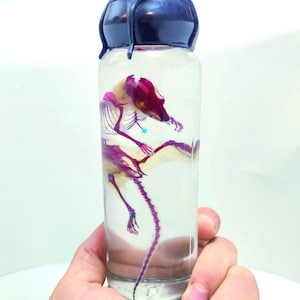 Diaphonized Mouse ~