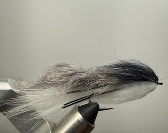 2 Pack of Roamer Fly Variant, Lunch Money Fly Variant, Shad Imitation Fly, Streamer Fly, Unweighted Streamer, Bass Fly, Captain Quint Fly