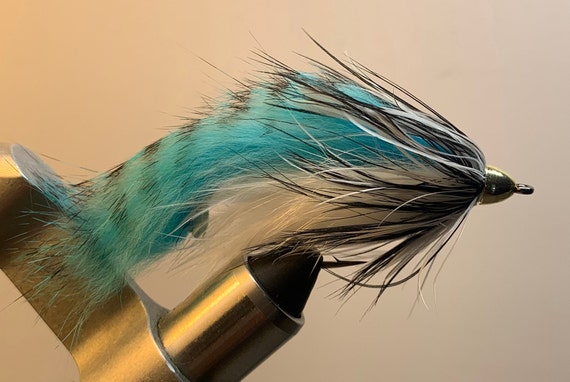 The Brave, Shad Pattern, Streamer, Bass Fly, Zonker, Fly Fishing