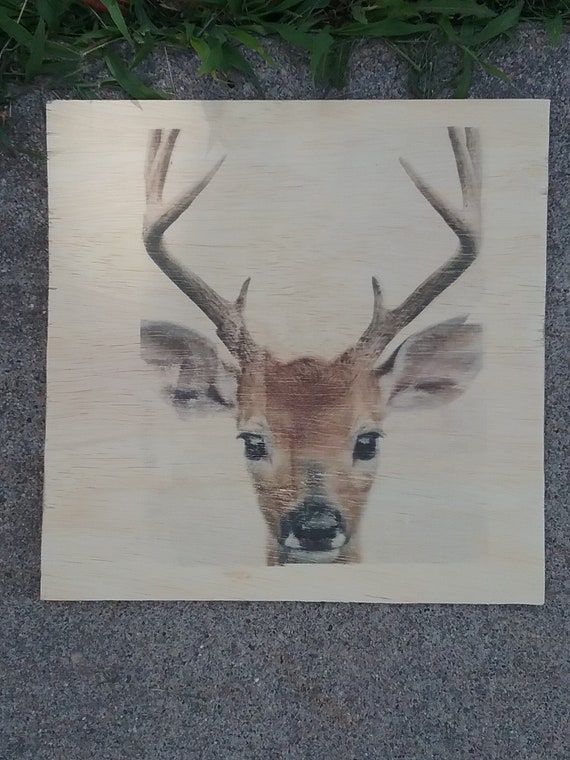 Deer Wood Print Kids Room Decor Hunting Decoration Cabin Wall Decor Rustic Wild Life Print Animal Themed Nursery Wall 12x12x2