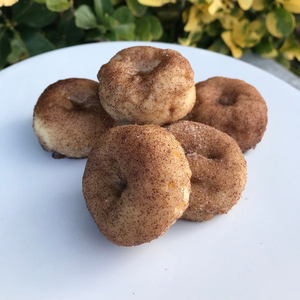 Fake Mini Cinnamon Sugar Donuts (set of 6)