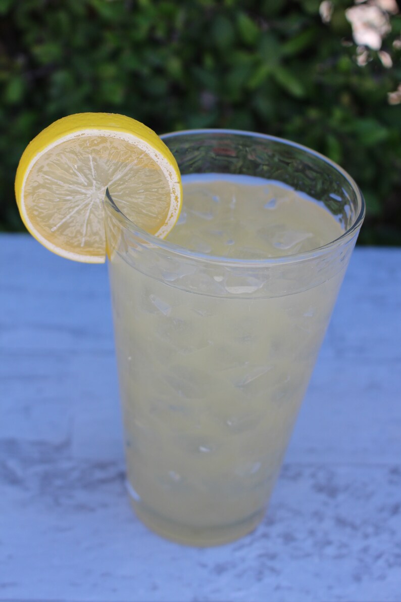 Fake Glass of Lemonade Etsy