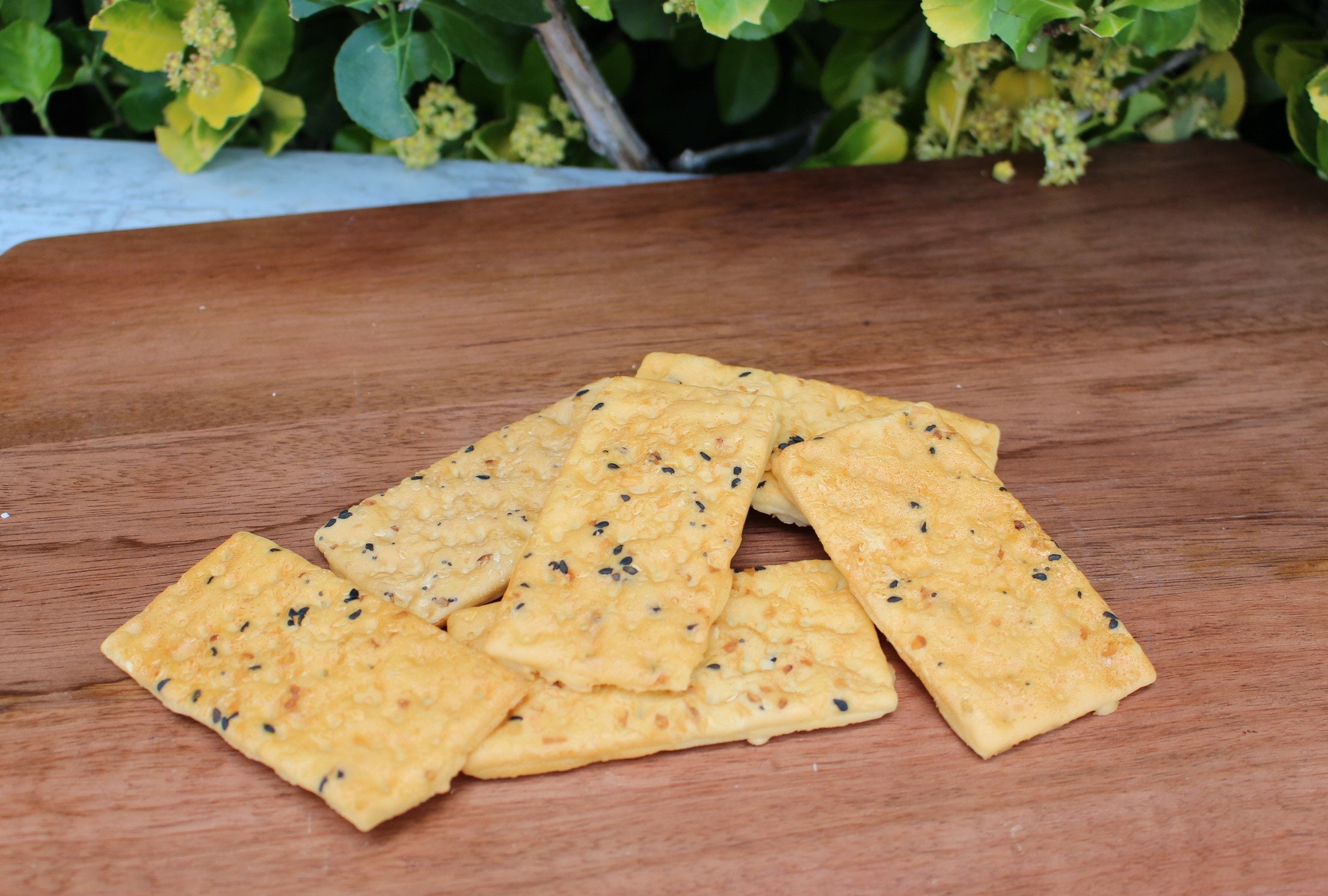 Fake Multi Grain Rectangle Crackers set of 6 Etsy