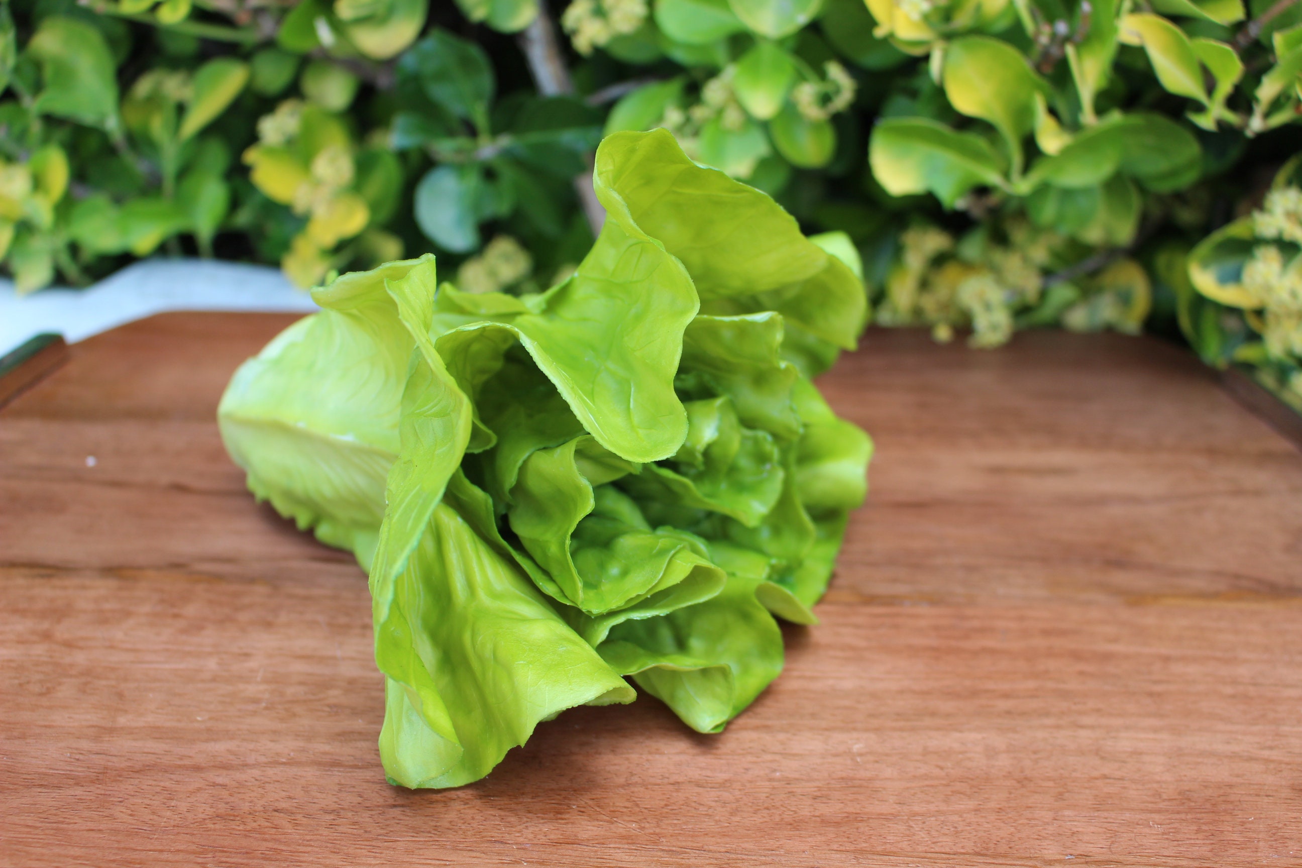 Fake Head of Lettuce Etsy