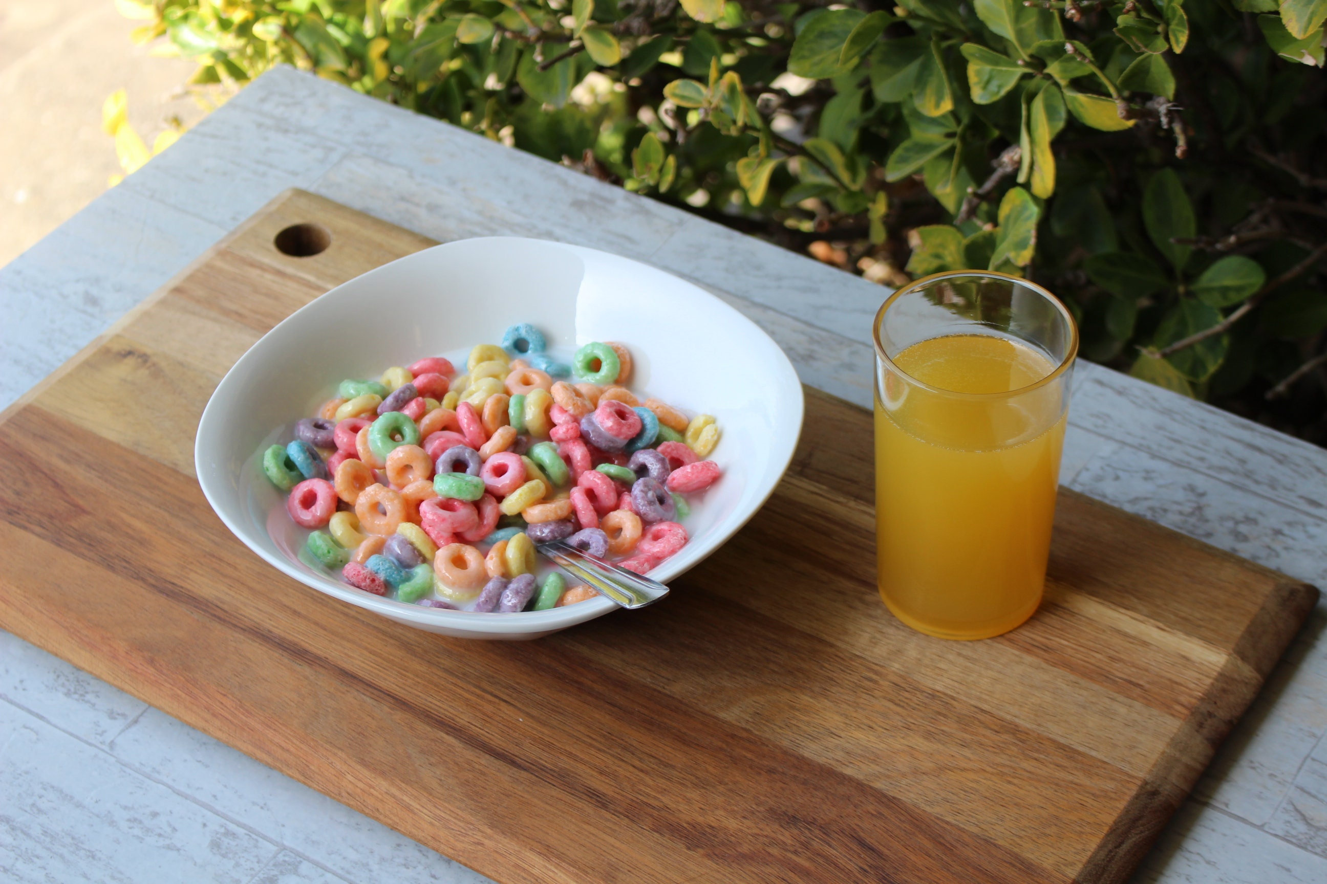 Fruit Loops Cereal in Fake Milk Etsy
