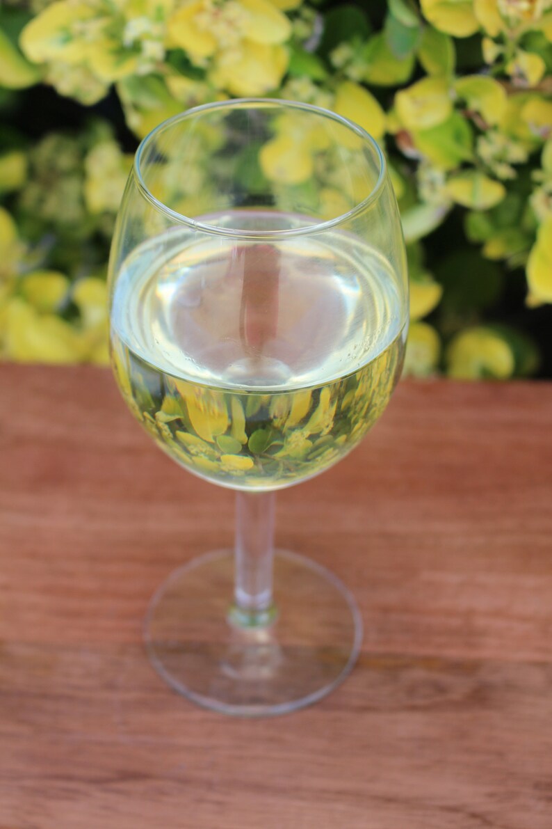 Fake Glass of White Wine Etsy