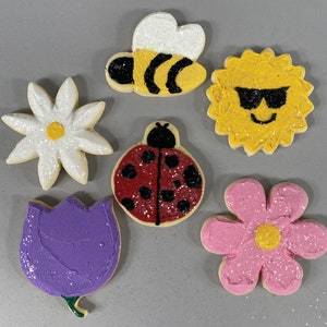 Fake Spring Cookies (set of 6)