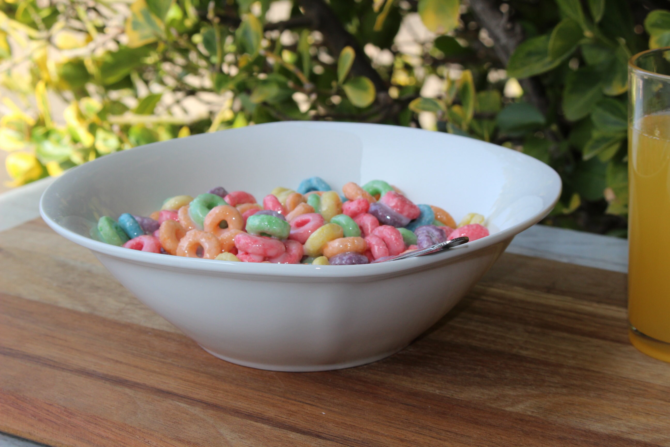 Fruit Loops Cereal in Fake Milk Etsy