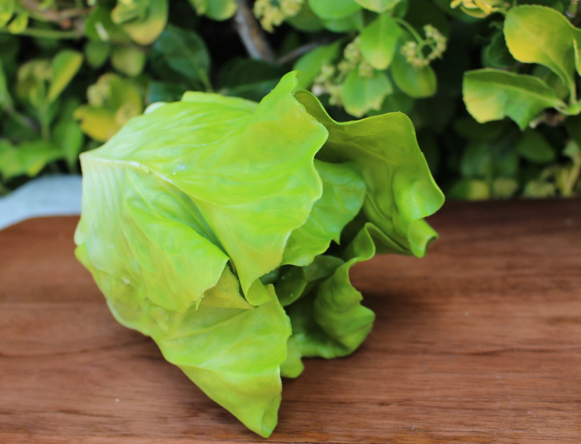 Small Fake Head of Green Lettuce Etsy UK