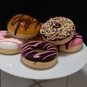 Assorted Fake Donuts (set B)