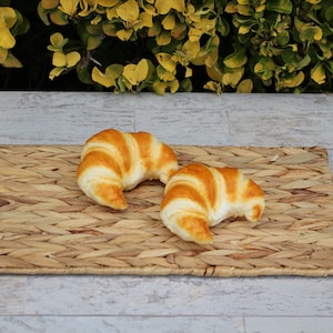  Squeaky Dog Toy Bread Chew Toy Interactive Toast Cookie Bread  Croissant Pack of 4 : Pet Supplies