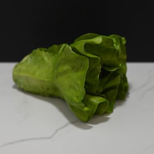 May include: A single head of green romaine lettuce, with the leaves tightly packed together, on a white marble surface.