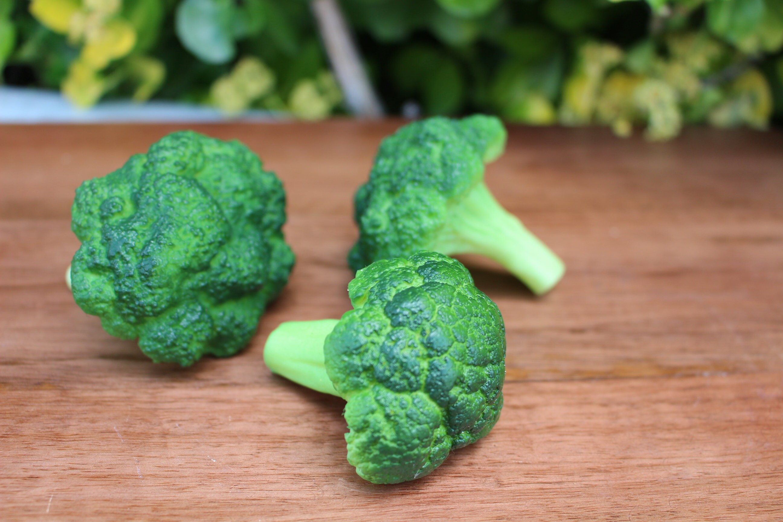 Fake Broccoli Florets Set of 3 Etsy