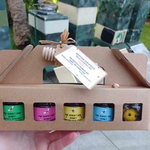 Adopt A Bee with 4 x 50g Jars of Dorset Honey & Honey Drizzler - Raw Dorset Honey Taster Gift Set