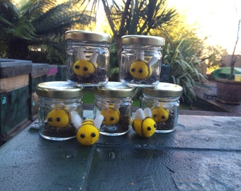 Adopt A Bee - Cute Stocking Filler - Pet Ba-bee Bee In A Jar