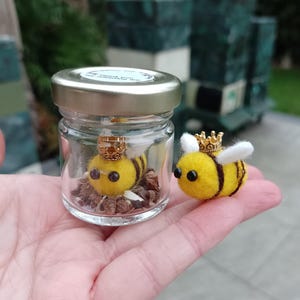 Adopt A Queen Bee - Personalised Gift - Royal Queen Bee In A Jar