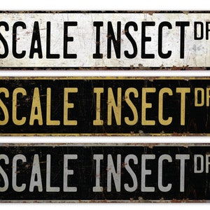 May include: Three vintage-style metal street signs with the text "SCALE INSECT DR" in black lettering on a white, black, and gray background.