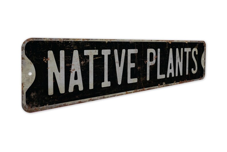 Native Plants - Native Plants Sign - Custom Native Plants - Native Plants Decor - Vintage Style Sign - Premium Quality Rustic Metal Sign image 8