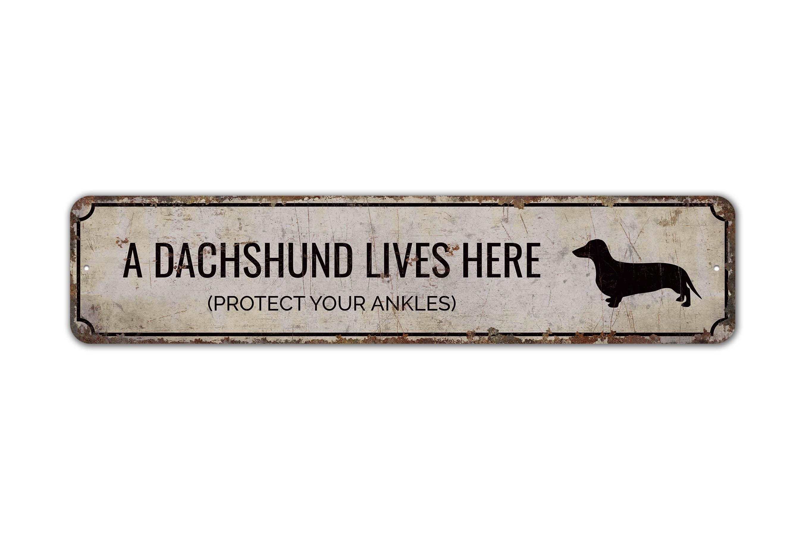 Dachshund Lives Here - Dog Lover Sign - Dachshund Lover Gift - Dog Lover Gift - Vintage Style Sign - Premium Quality Rustic Metal Sign