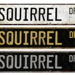Squirrel Accessories