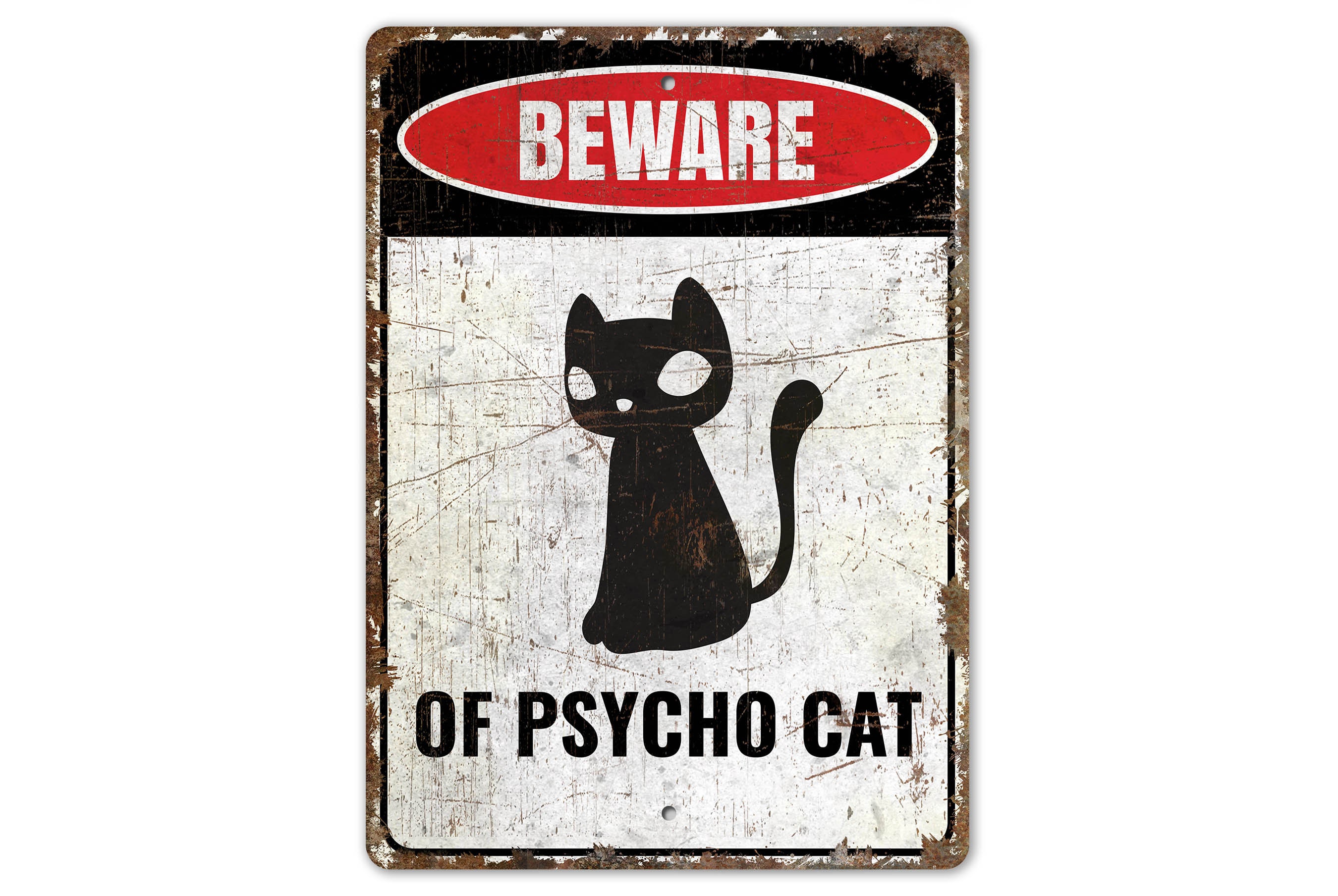Plaque humoristique émaillée bombée 6x10 cm : CHAT BIZARRE