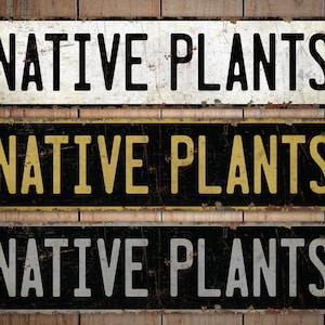 May include: Three vintage metal signs with the text "NATIVE PLANTS" in black, white, and yellow lettering on a rustic wooden background.