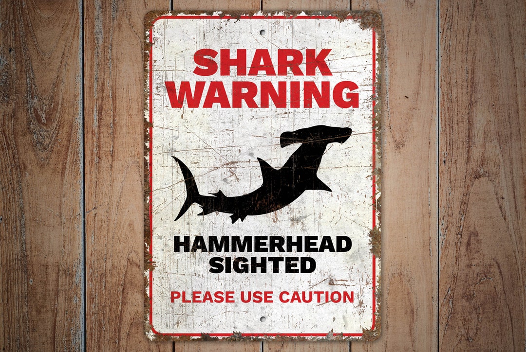 Shark Warning Shark Warning Sign Shark Warning Decor Hammerhead
