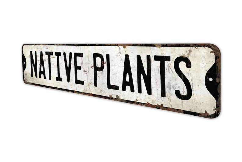 Native Plants - Native Plants Sign - Custom Native Plants - Native Plants Decor - Vintage Style Sign - Premium Quality Rustic Metal Sign image 4