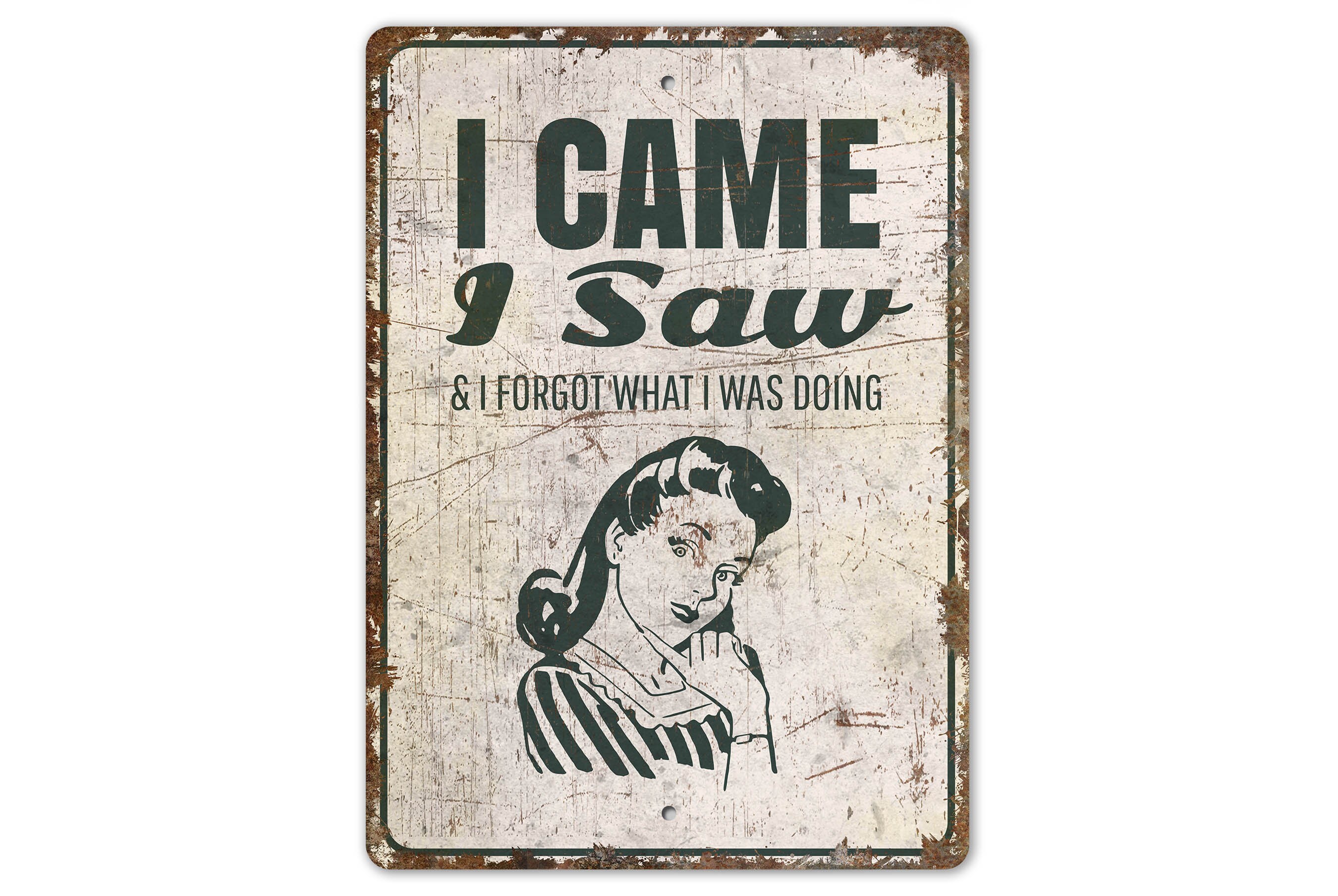 I Came I Saw And Forgot - Forget Sign - Funny Sign - Funny Decor - Sarcastic Sign - Vintage Style Sign - Premium Quality Rustic Metal Sign