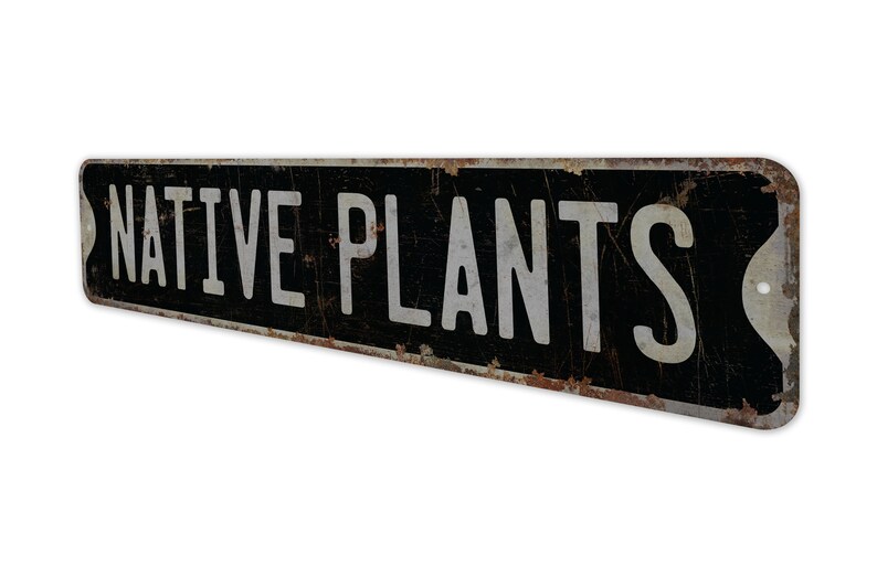 Native Plants - Native Plants Sign - Custom Native Plants - Native Plants Decor - Vintage Style Sign - Premium Quality Rustic Metal Sign image 6
