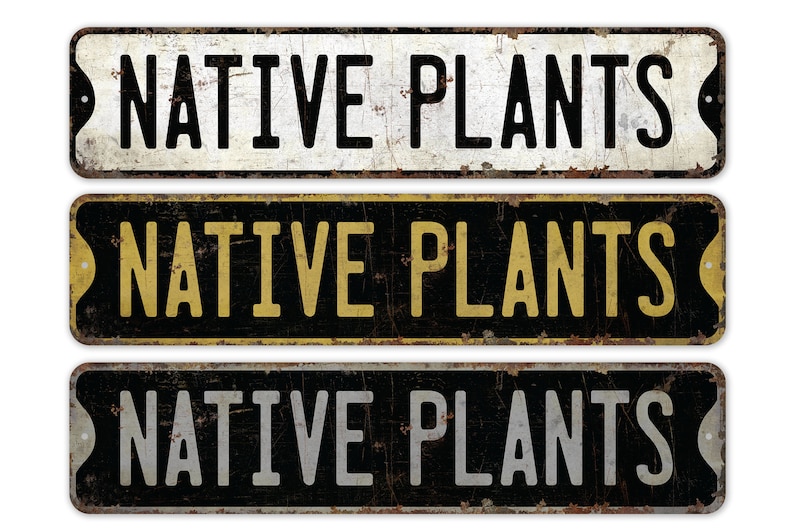Native Plants - Native Plants Sign - Custom Native Plants - Native Plants Decor - Vintage Style Sign - Premium Quality Rustic Metal Sign image 1