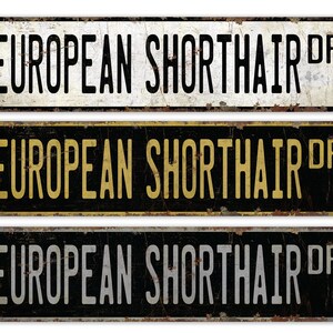 European Shorthair - European Cat Sign - Shorthair Cat Sign - Cat Lover Gift - Vintage Style Sign - Premium Quality Rustic Metal Sign