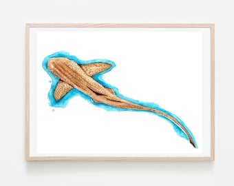 Zebra Shark Watercolor Giclee Print Ocean Art