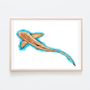 Zebra Shark Watercolor Giclee Print Ocean Art