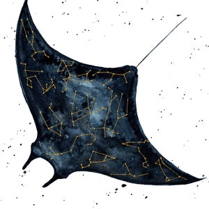 Zodiac Sky Manta Gold Leaf Watercolor Astrology Sagittarius Scorpio Pisces Libra Leo Cancer Gemini Aquarius Aries Taurus Virgo Capricorn image 3