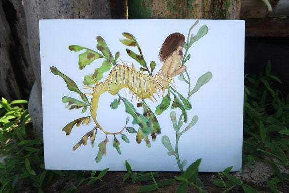 Leafy Sea Dragon Mermaid Etsy