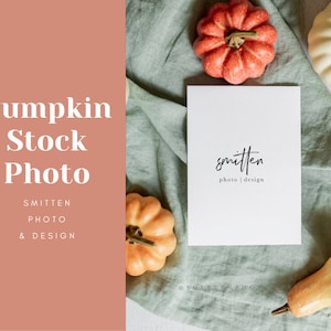 Pumpkin Stock fotografía boda tarjeta de felicitación Mockup, redes sociales, imágenes de productos de papel, otoño otoño tema #SPD0027-2