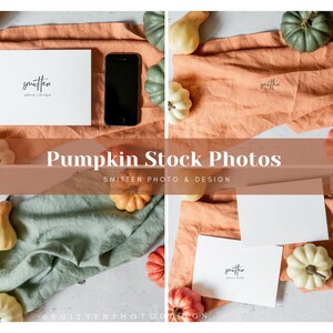 Pumpkin Stock photography Bundle, Wedding Greeting Card Mockup, Social Media, Paper Product Images #SPD0027-13-16