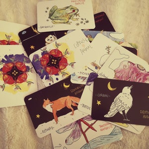 L'Oracle Animal (22 cartes)
