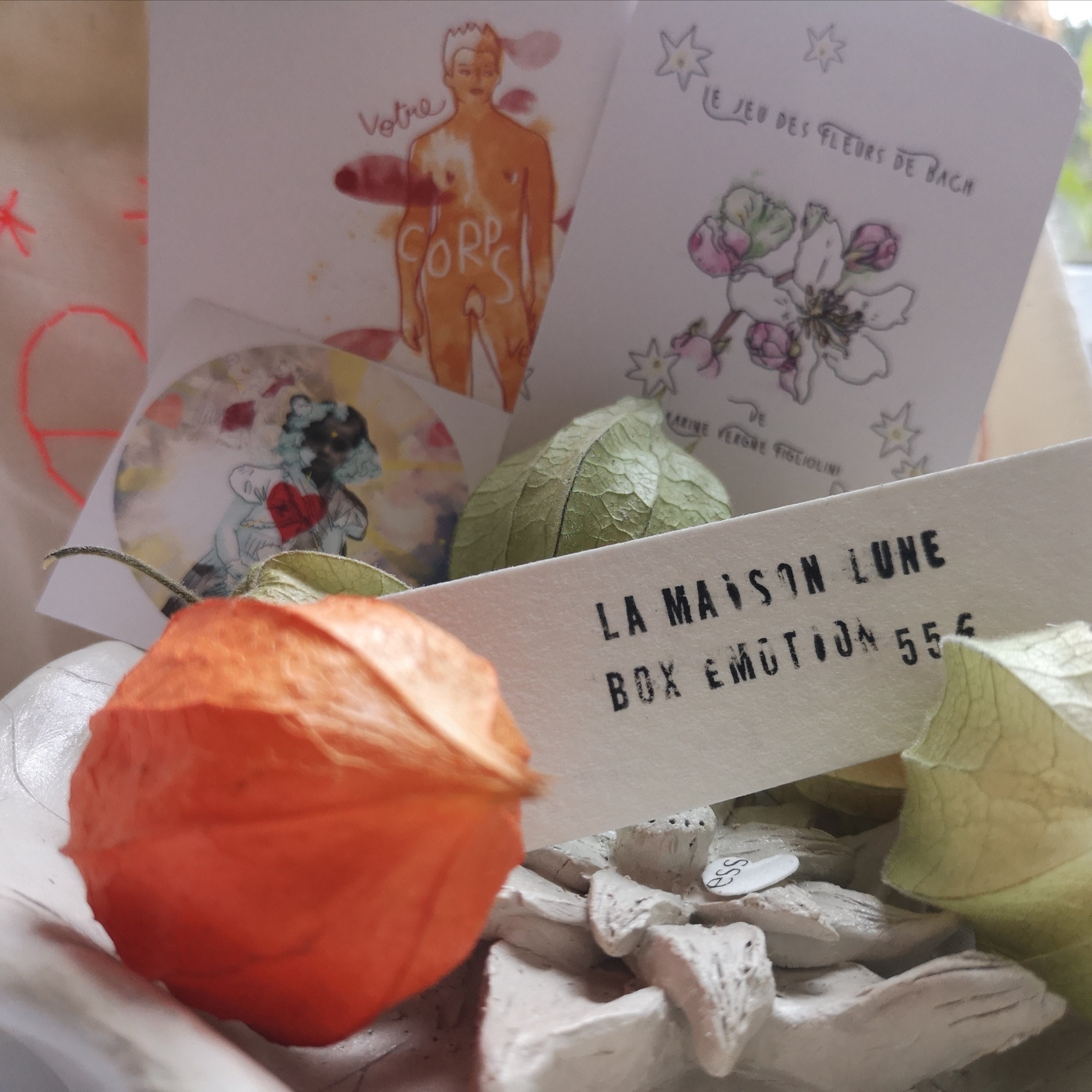 Box Émotion - 2 Oracles Recto/Verso Fleurs de Bach/Symbolique Du Corps