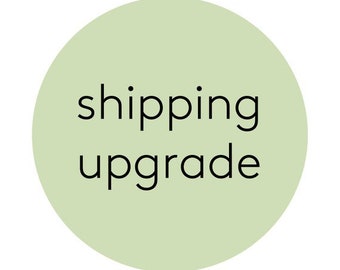 Shipping Upgrade (Does NOT shorten production turnaround time, but shorten mailing TRANSIT time with USPS)