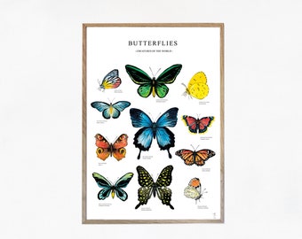 Butterflies - Printable Butterfly Poster