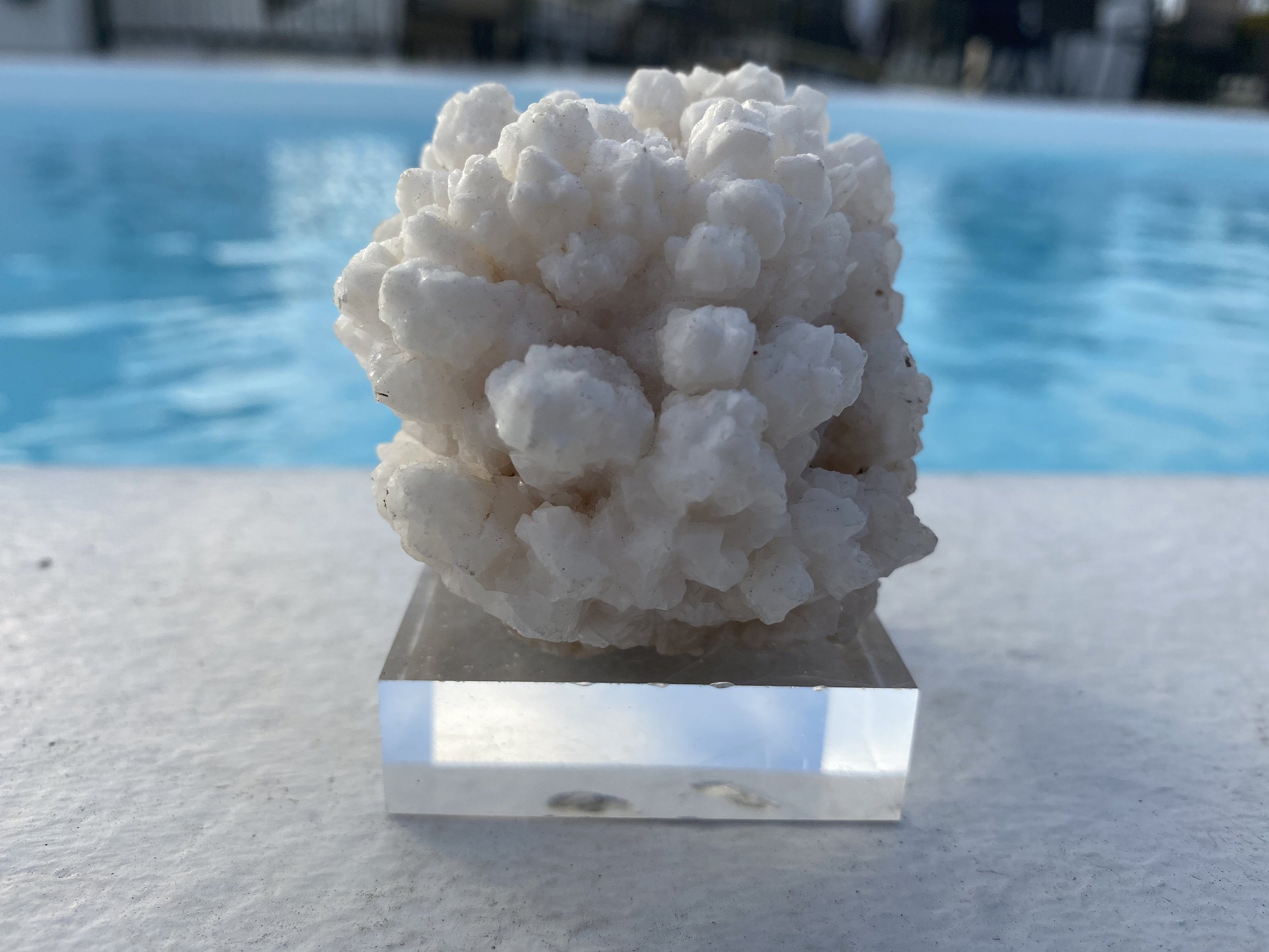 Calcite and Coral main image 1
