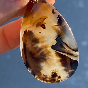 May include: A teardrop-shaped pendant made of brown, white, and black agate with a gold wire wrap.