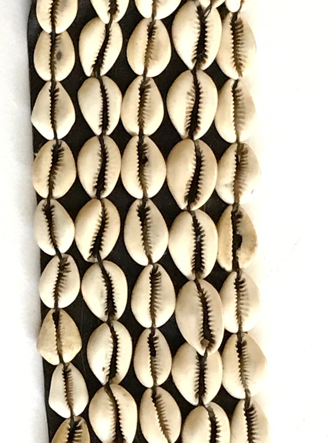 VTG ? Authentic Cowrie Shell Leather belt Sz M or 30-31 W Cowrie Shell and Leather Belt 27.5 Inches X 3 Inches - Etsy main image 3