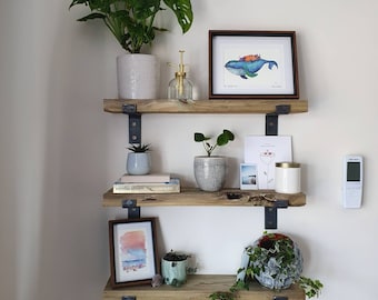 David's Steel Shelf Brackets